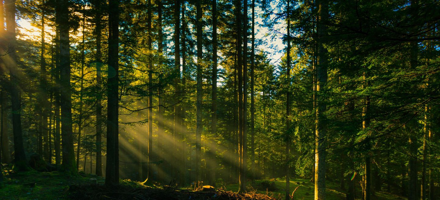 ΑΣΔΔ ΣΕΛΙΟΥ